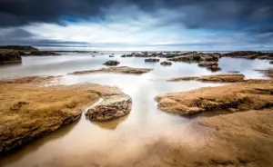 Maine rocky intertidal zone